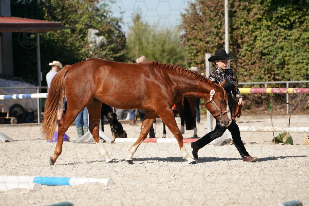s_A_907447.JPG